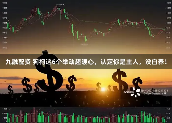九融配资 狗狗这6个举动超暖心，认定你是主人，没白养！
